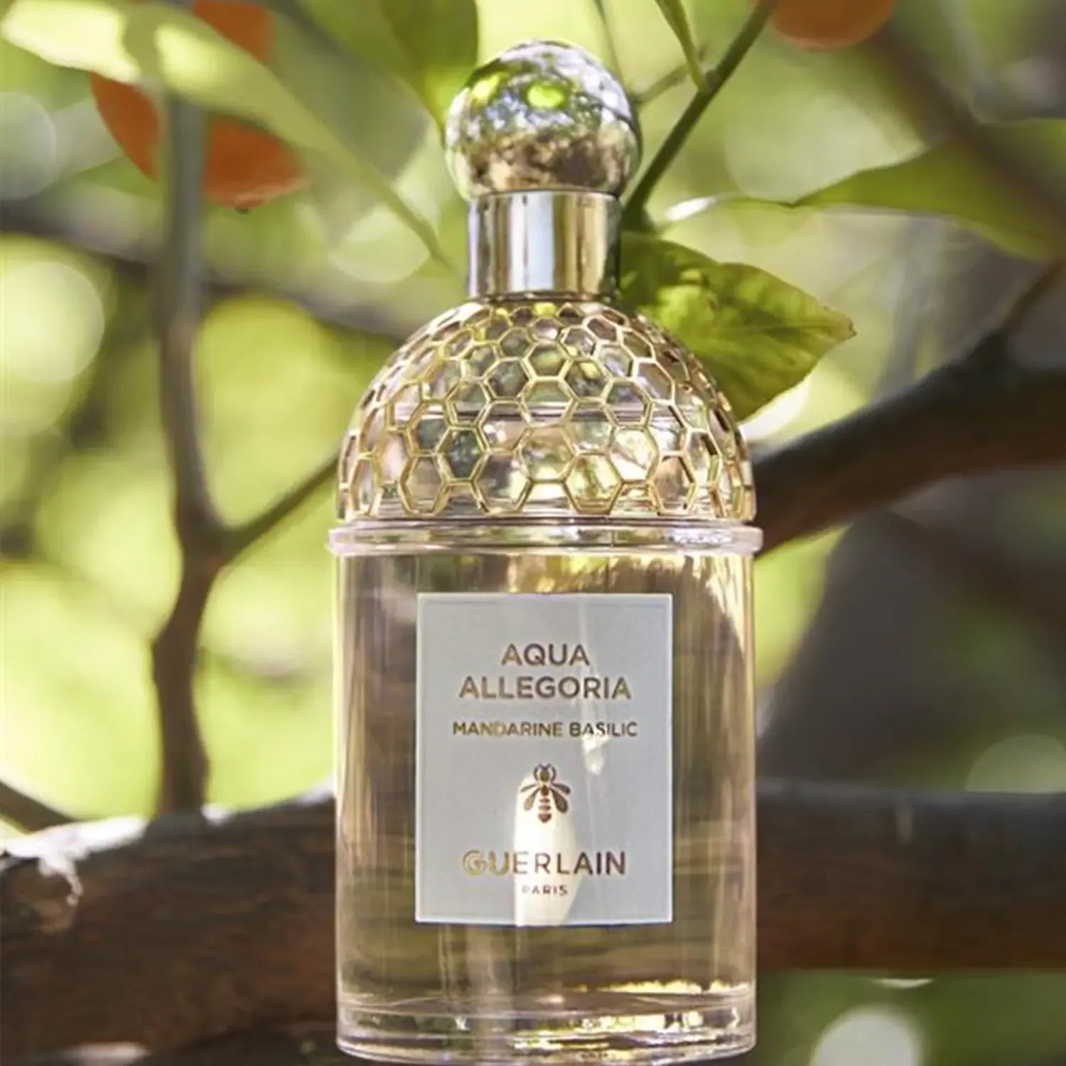 Mandarine / Basilic - Eau De Toilette