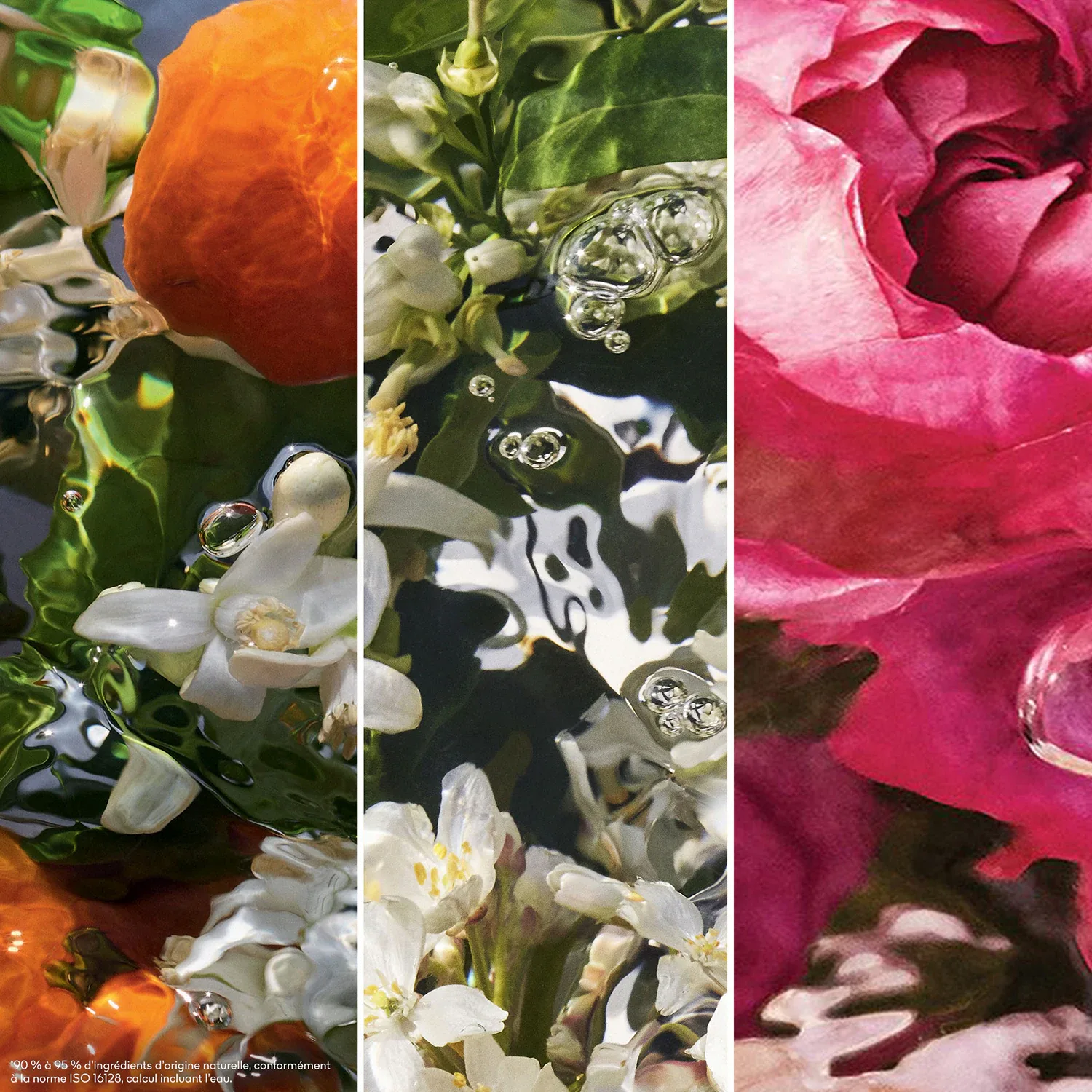 Mandarine / Basilic - Eau De Toilette
