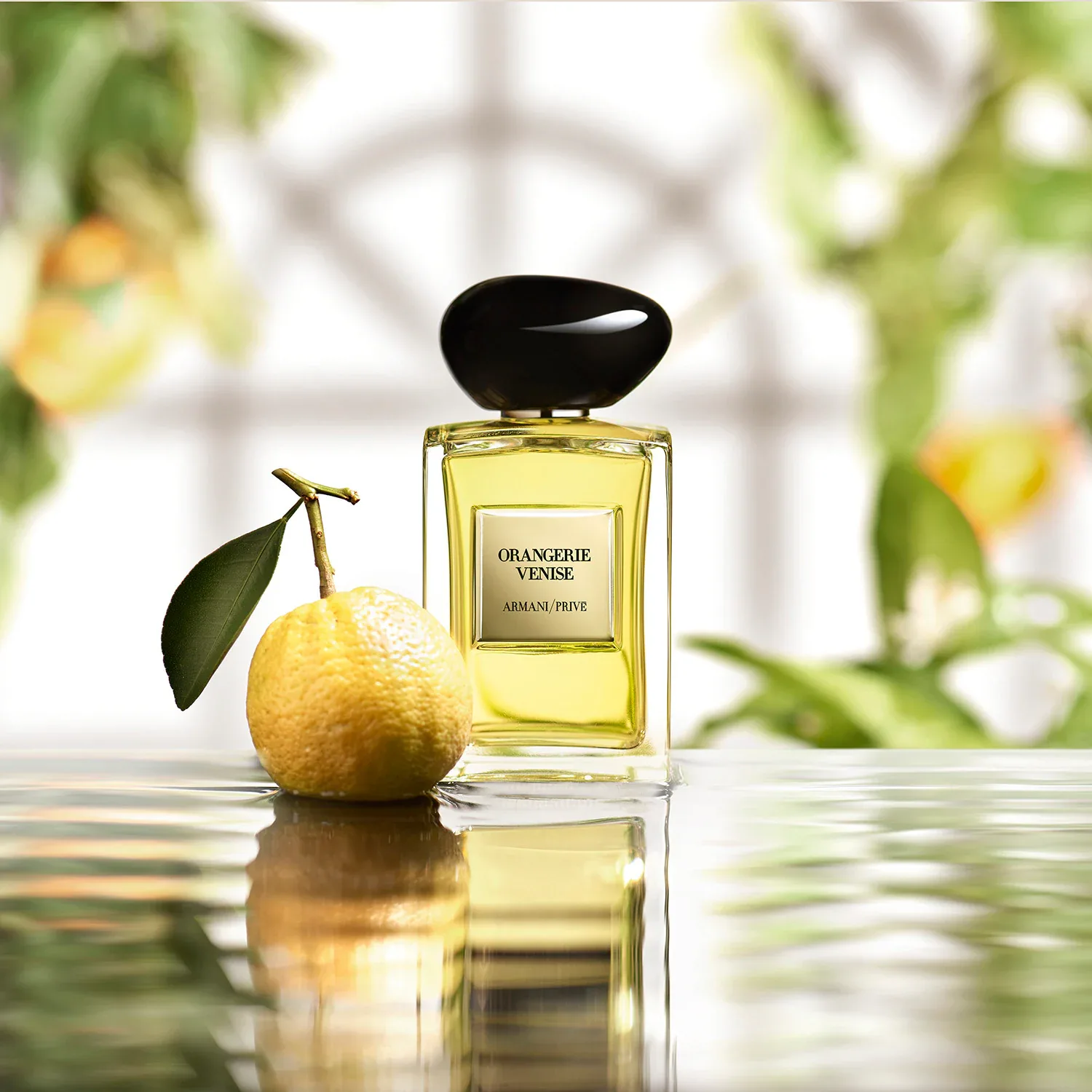 Armani / Prive Orangerie Venise - Eau De Toilette