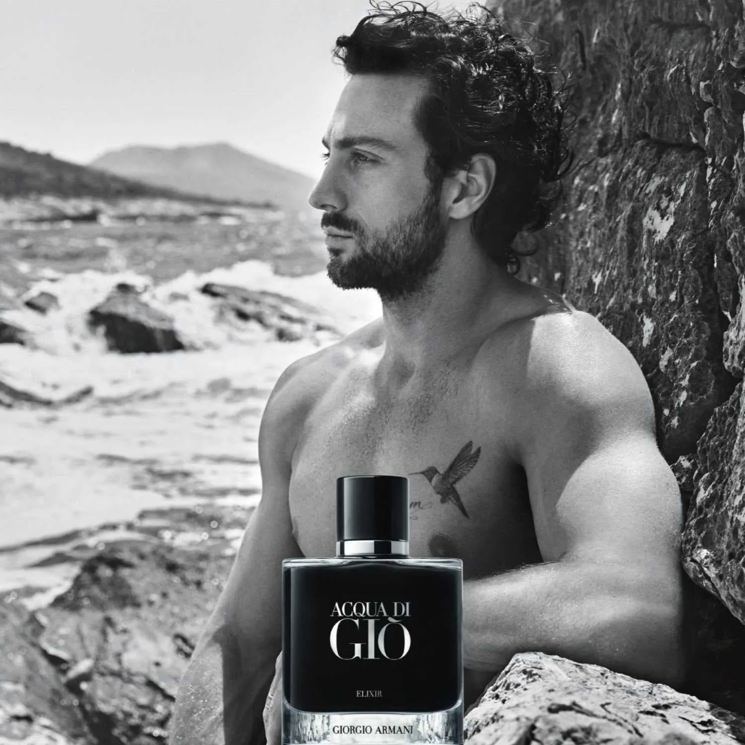 Acqua Di Gio Elixir - Parfüm