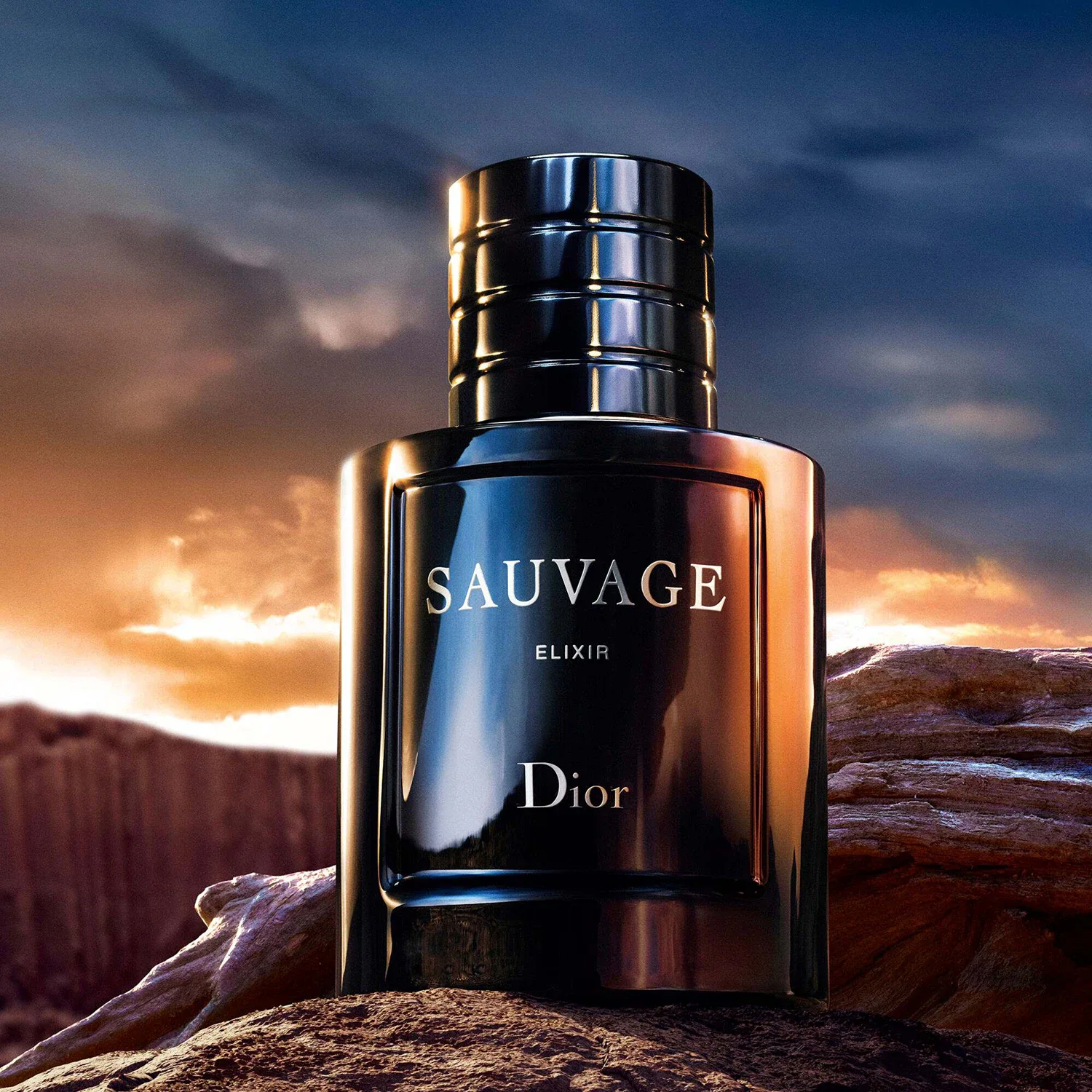 Sauvage Elixir - Erkek Parfüm