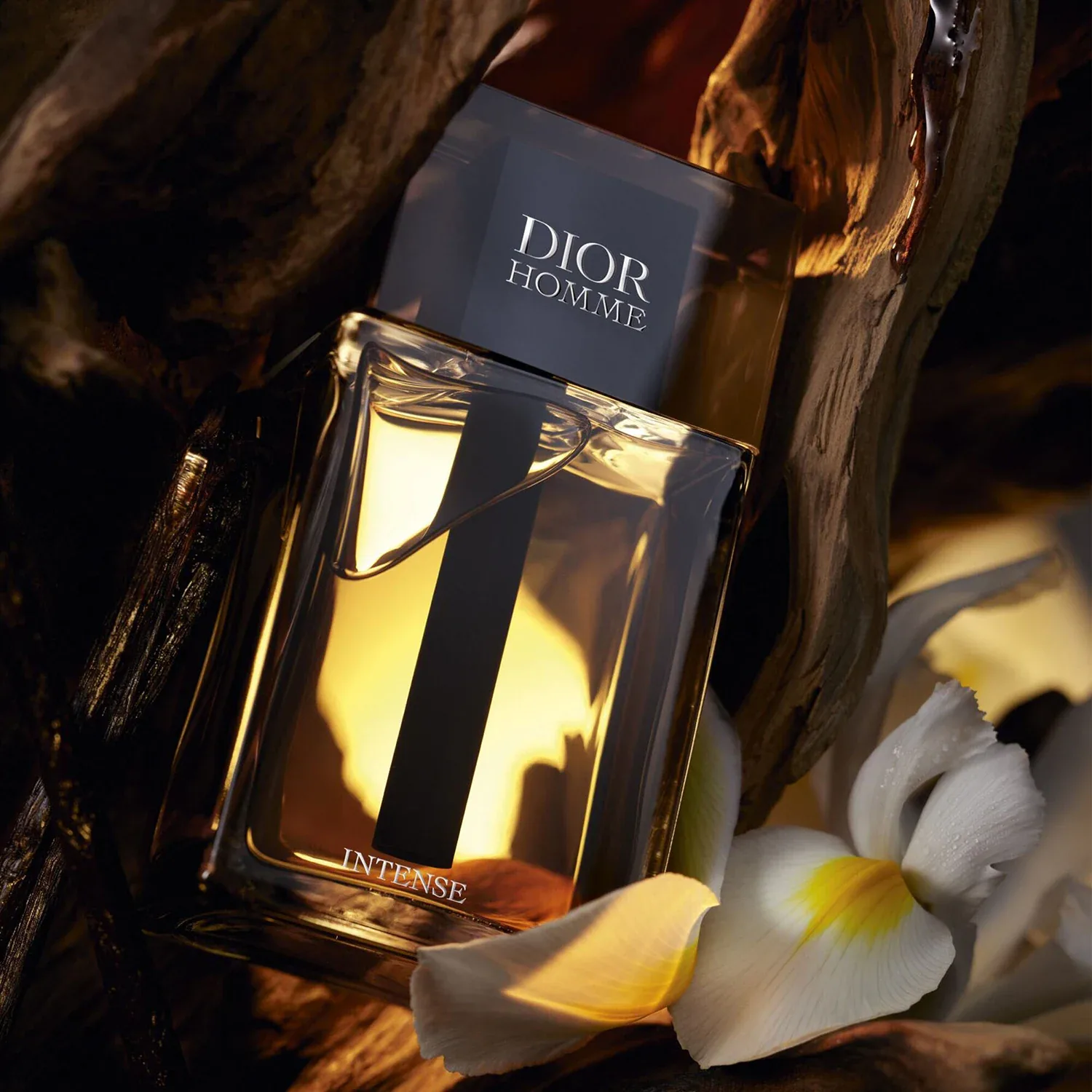 Dior Homme Intense - Eau De Parfum
