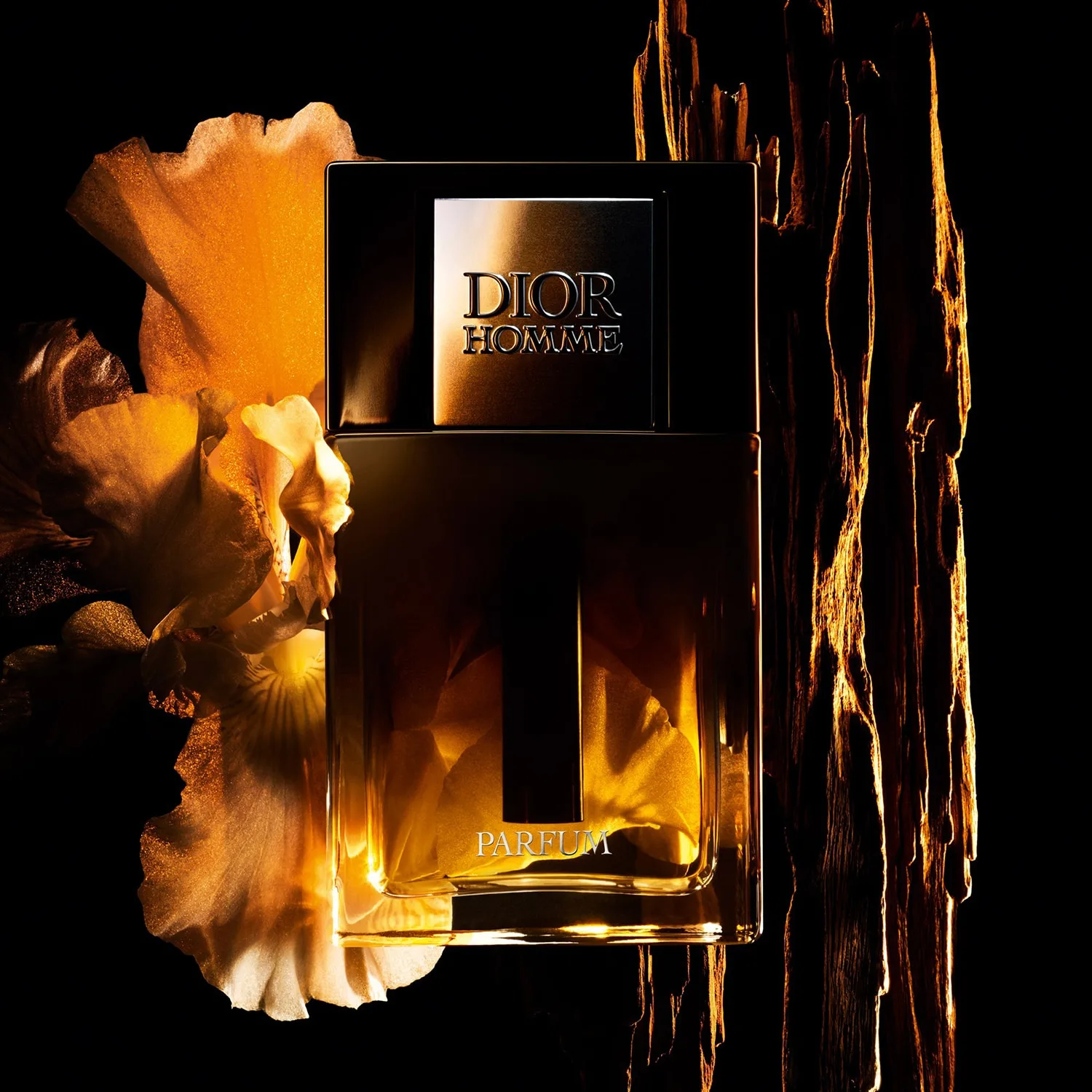 Dior Homme Parfum - Parfum
