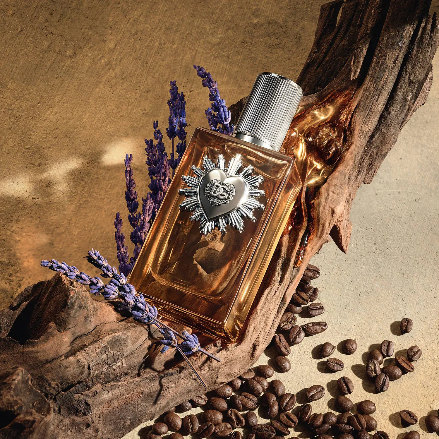 Devotion For Men Parfum - Erkek Parfümü