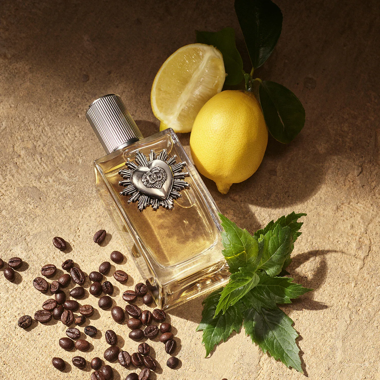 Devotion For Men - Eau De Parfum