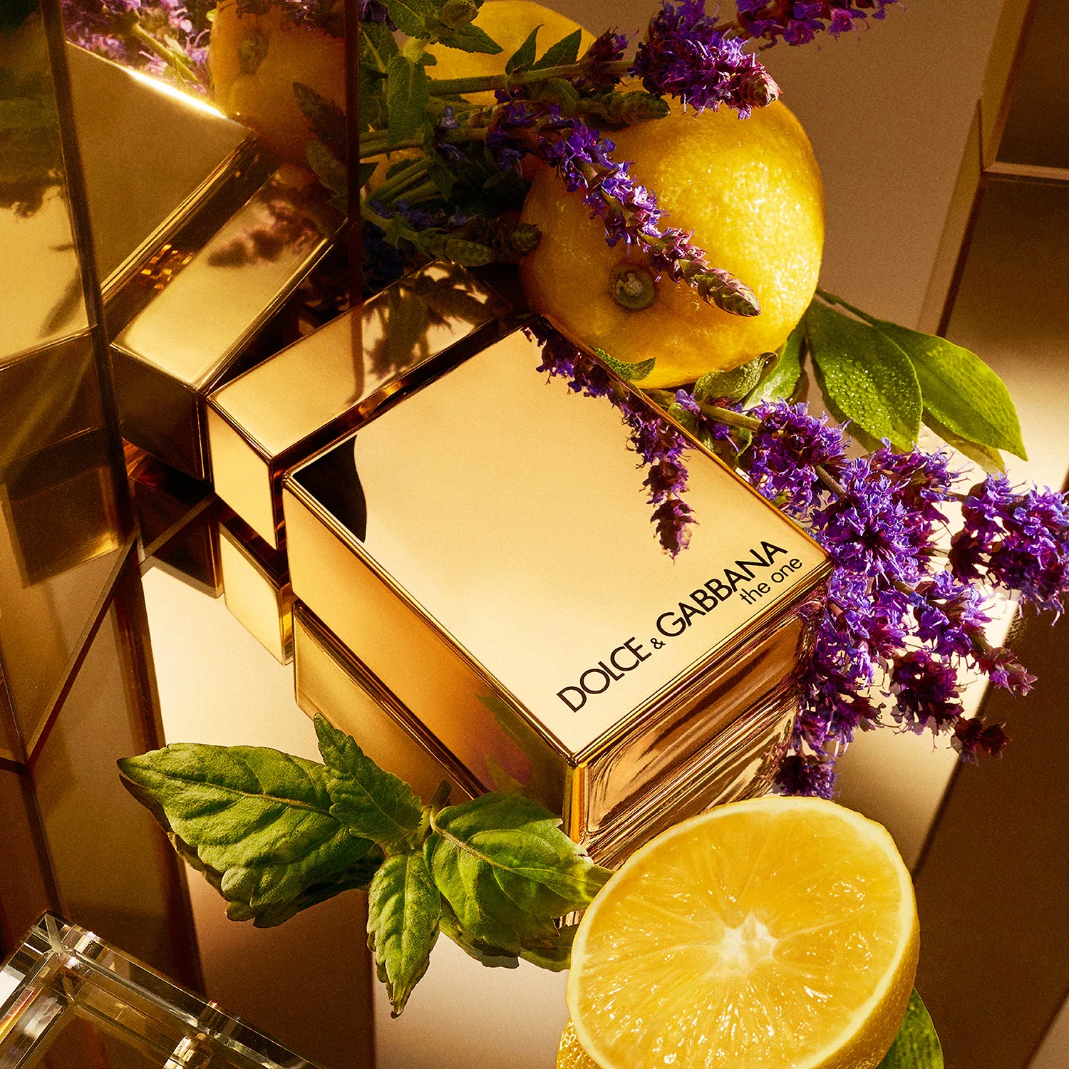 The One For Men Gold - Eau De Parfum