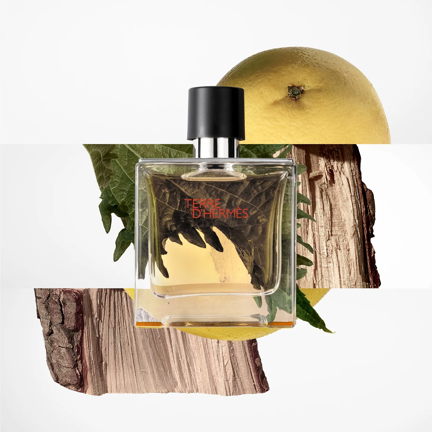 Terre D'hermès - Parfum