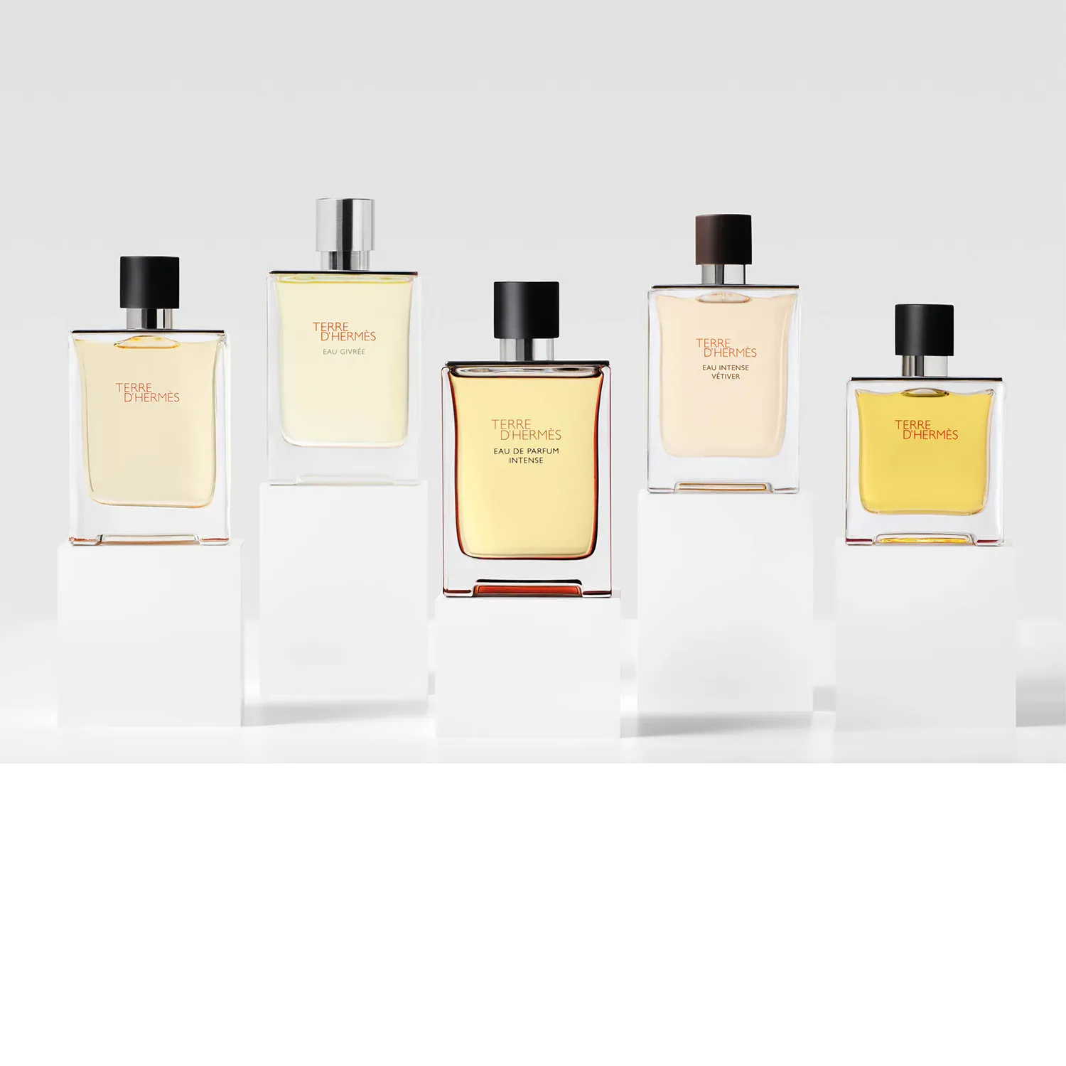 Terre D'hermès - Parfum