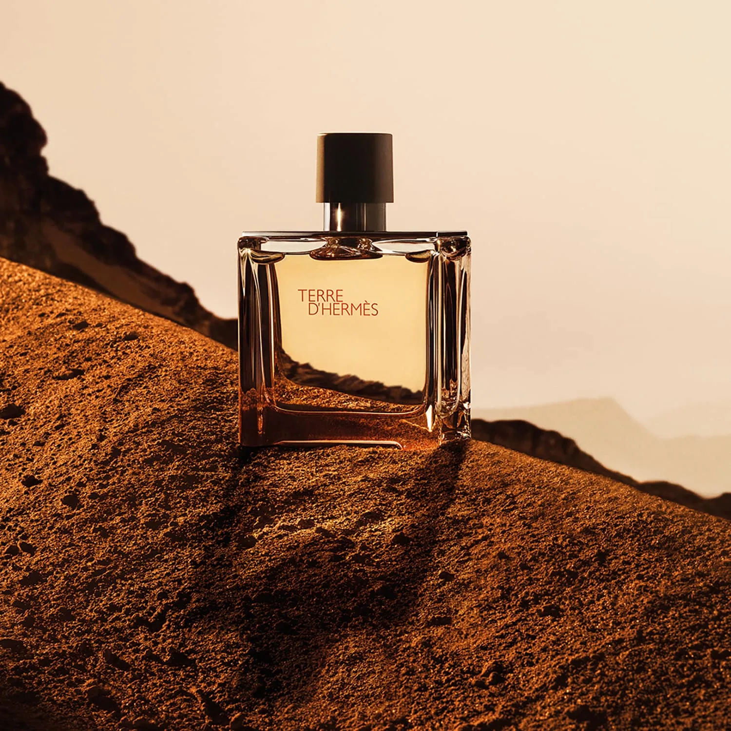 Terre D'hermès - Parfum