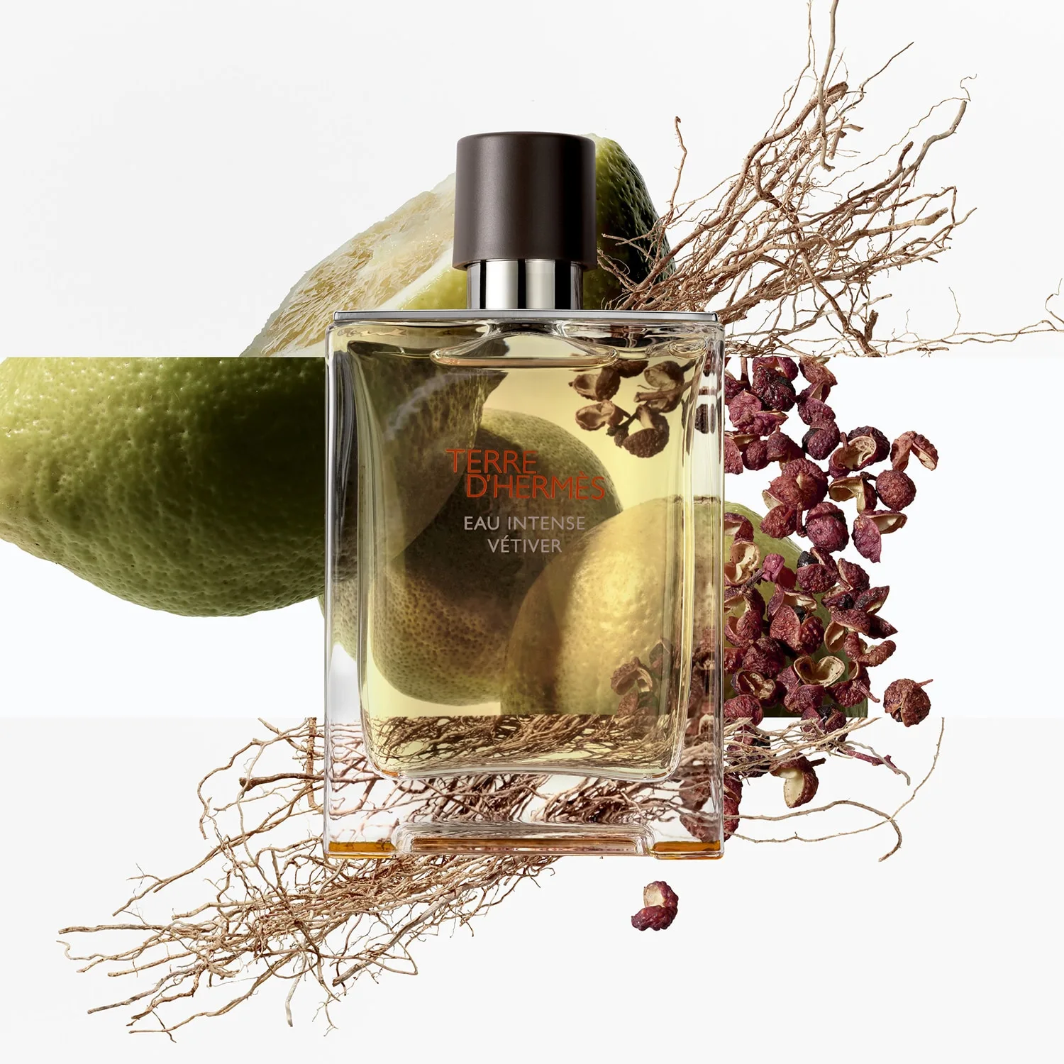 Terre D'hermès Eau Intense Vétiver - Eau De Parfum