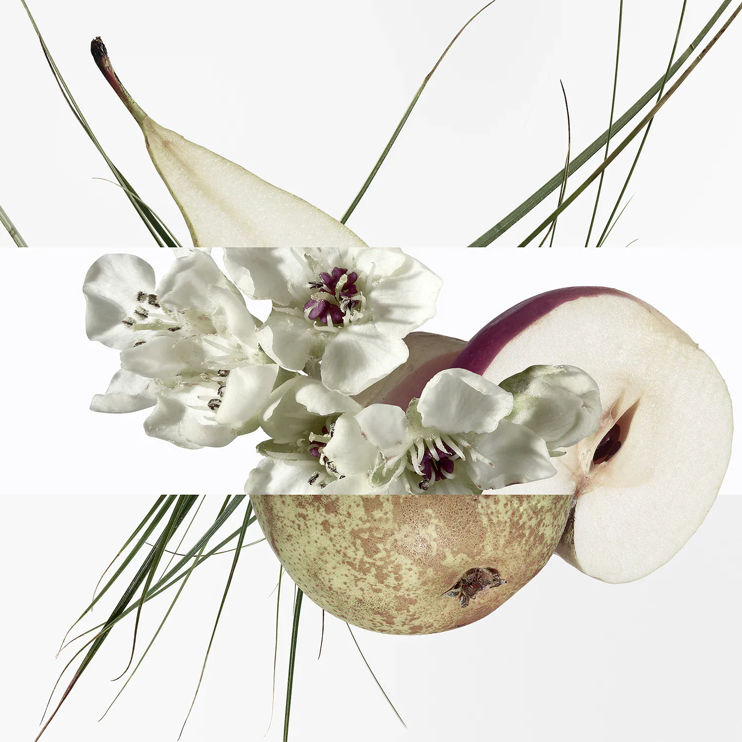 Un Jardin Sur Le Toit - Eau De Toilette