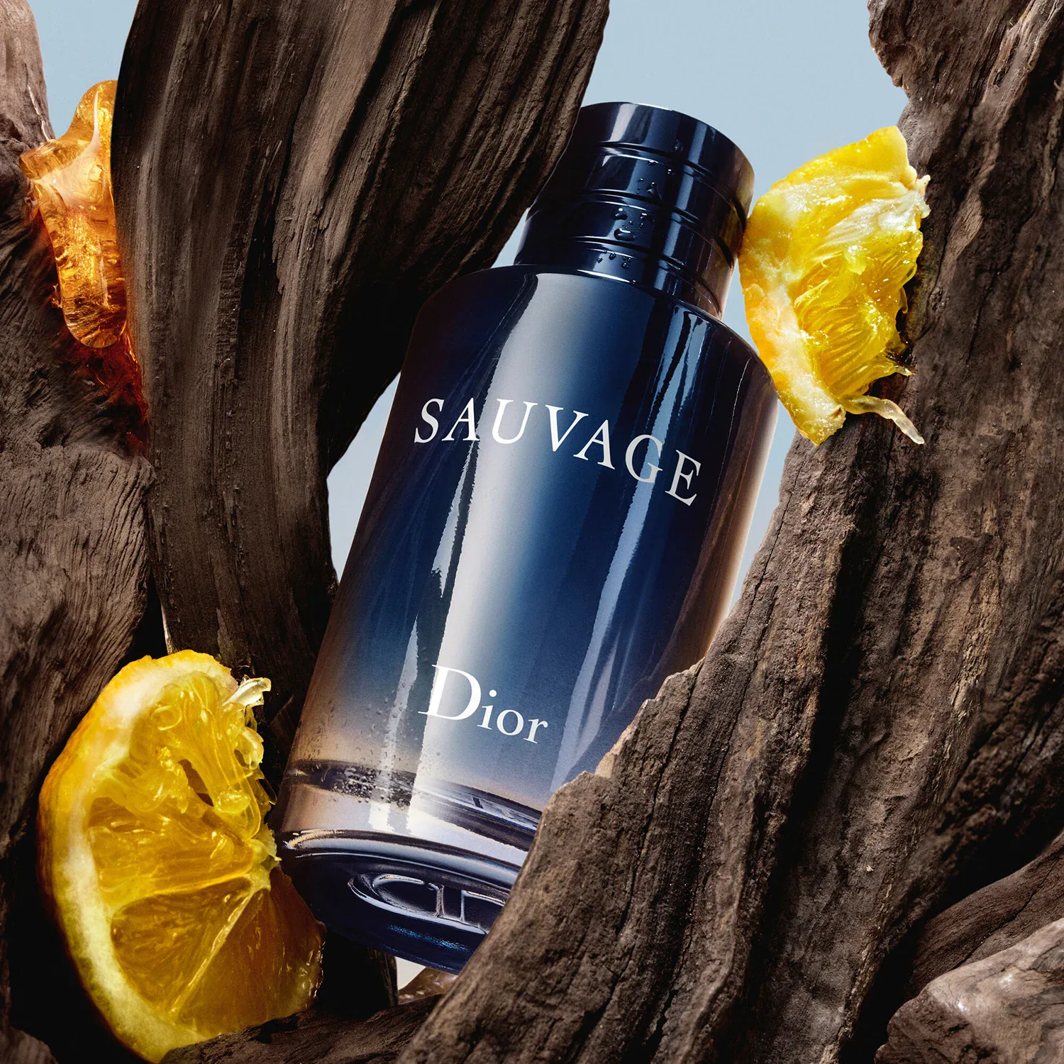 Sauvage - Eau De Toilette