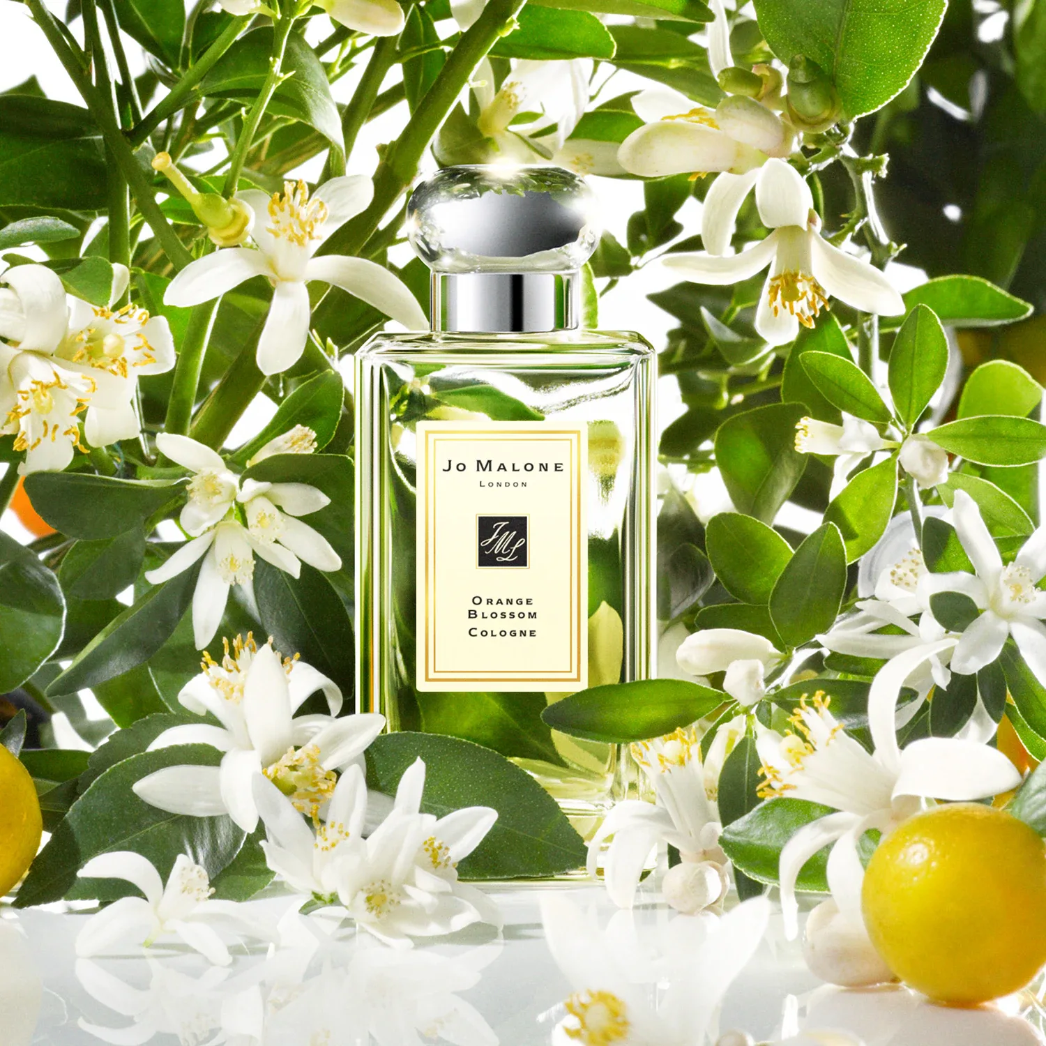 Orange Blossom - Cologne