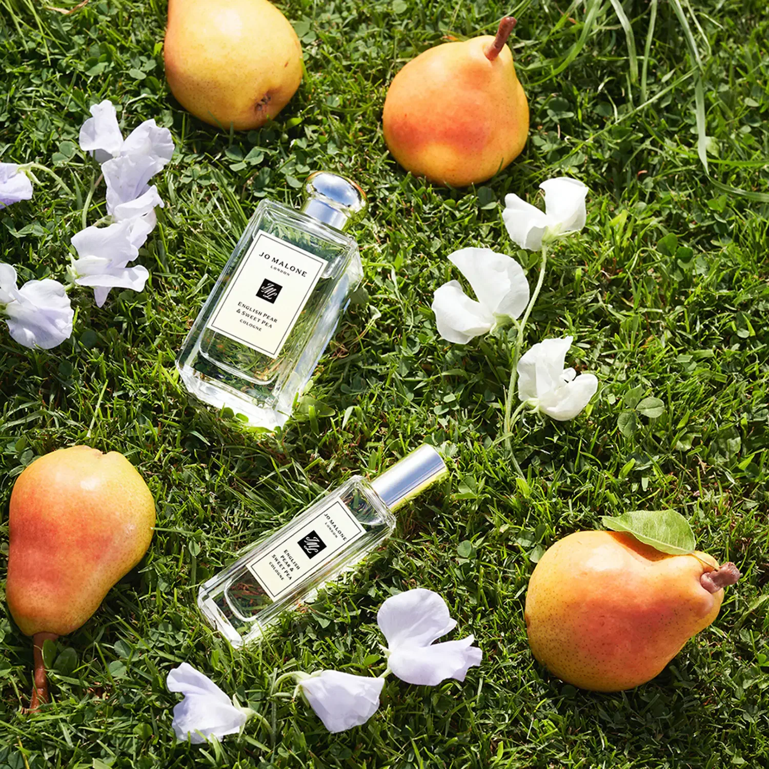 English Pear - Sweet Pea Cologne