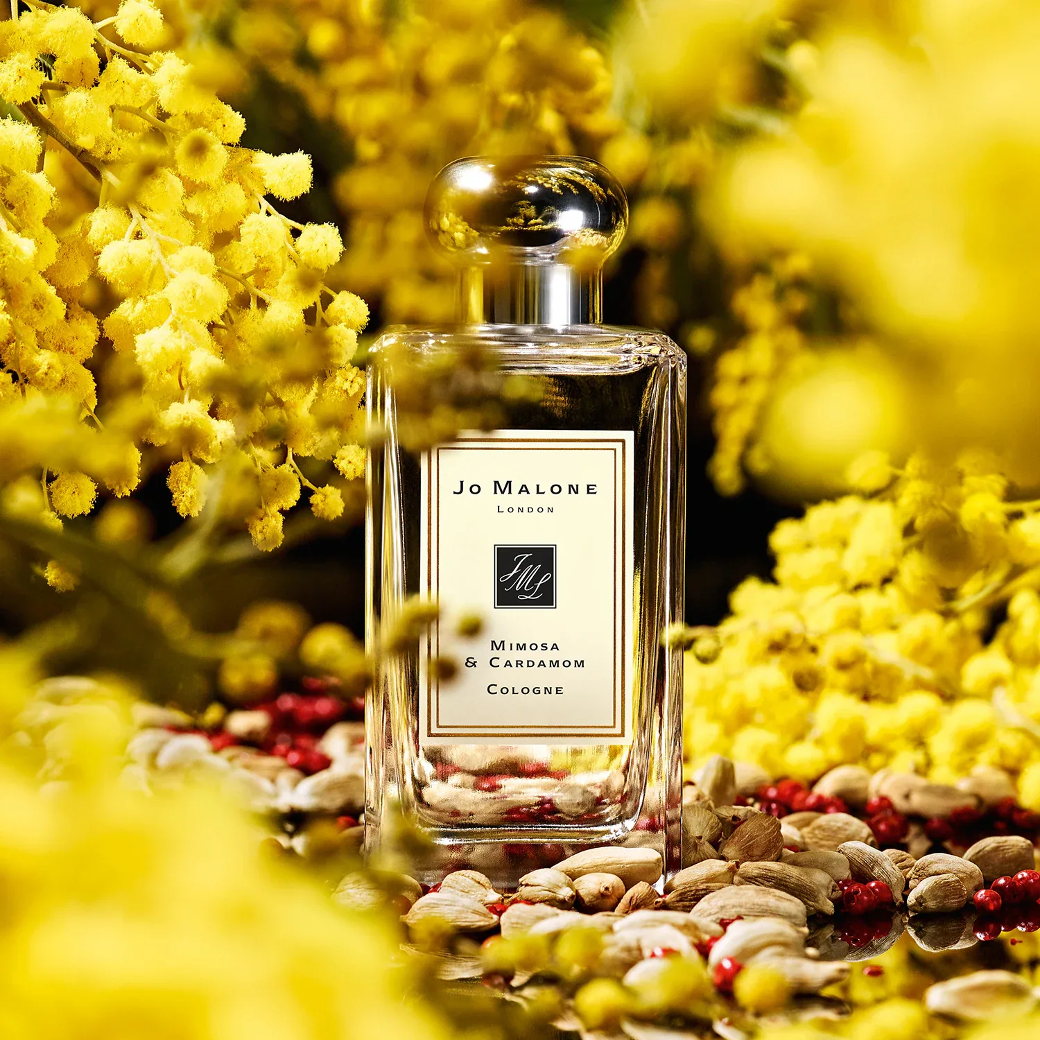 Mimosa & Cardamom - Cologne