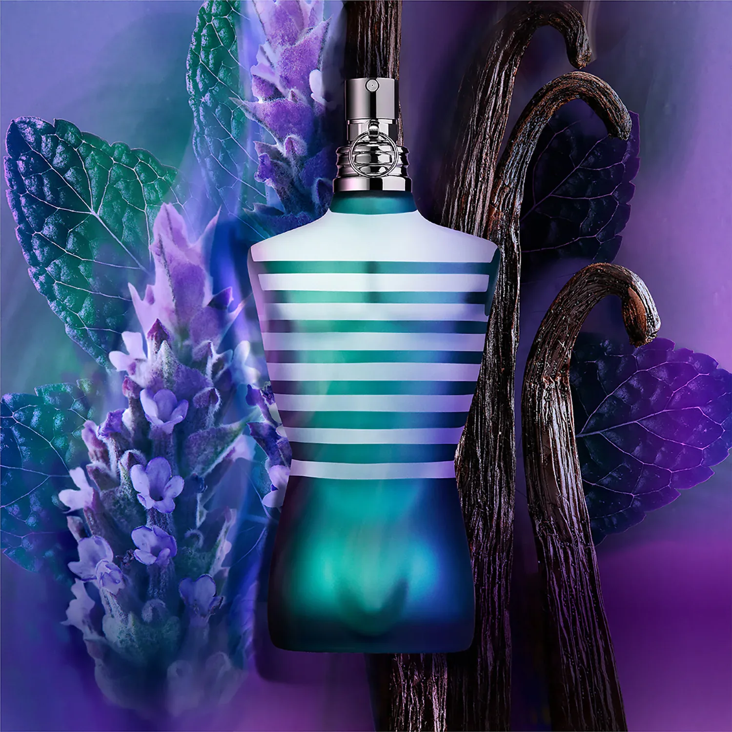 Le Male - Eau De Toilette - Nane, Lavanta & Vanilya Notaları