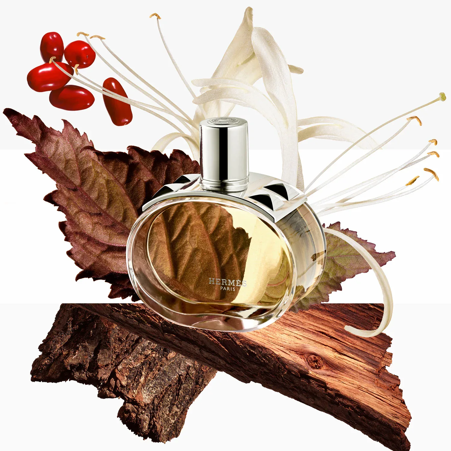 Barénia - Eau De Parfum