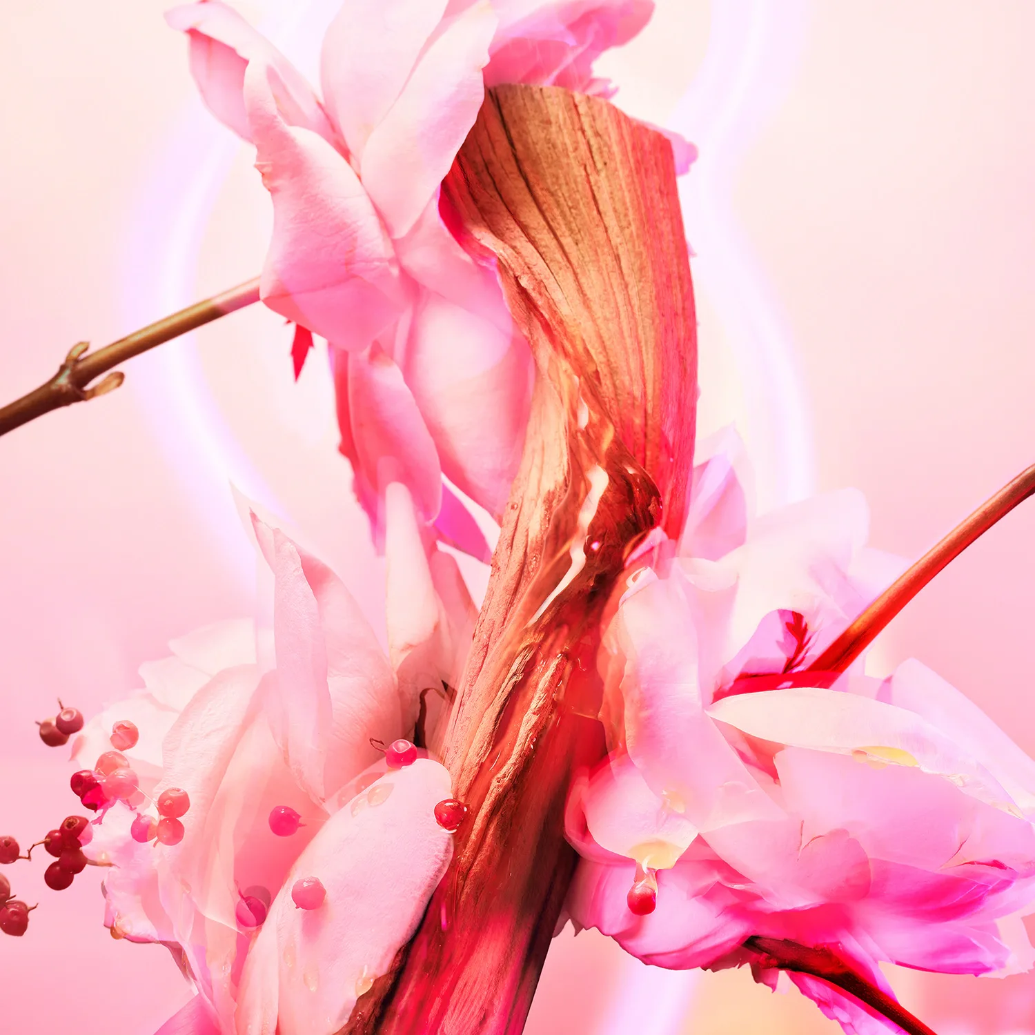 Love Frequency - Eau De Parfum