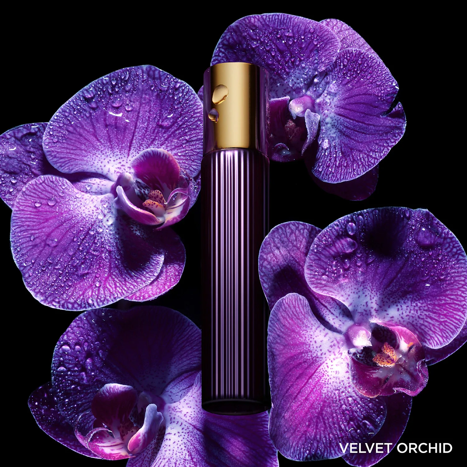 Velvet Orchid - Eau De Parfum