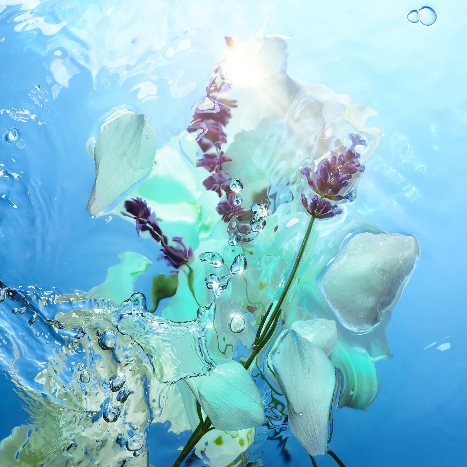 Calm Bliss - Eau De Parfum