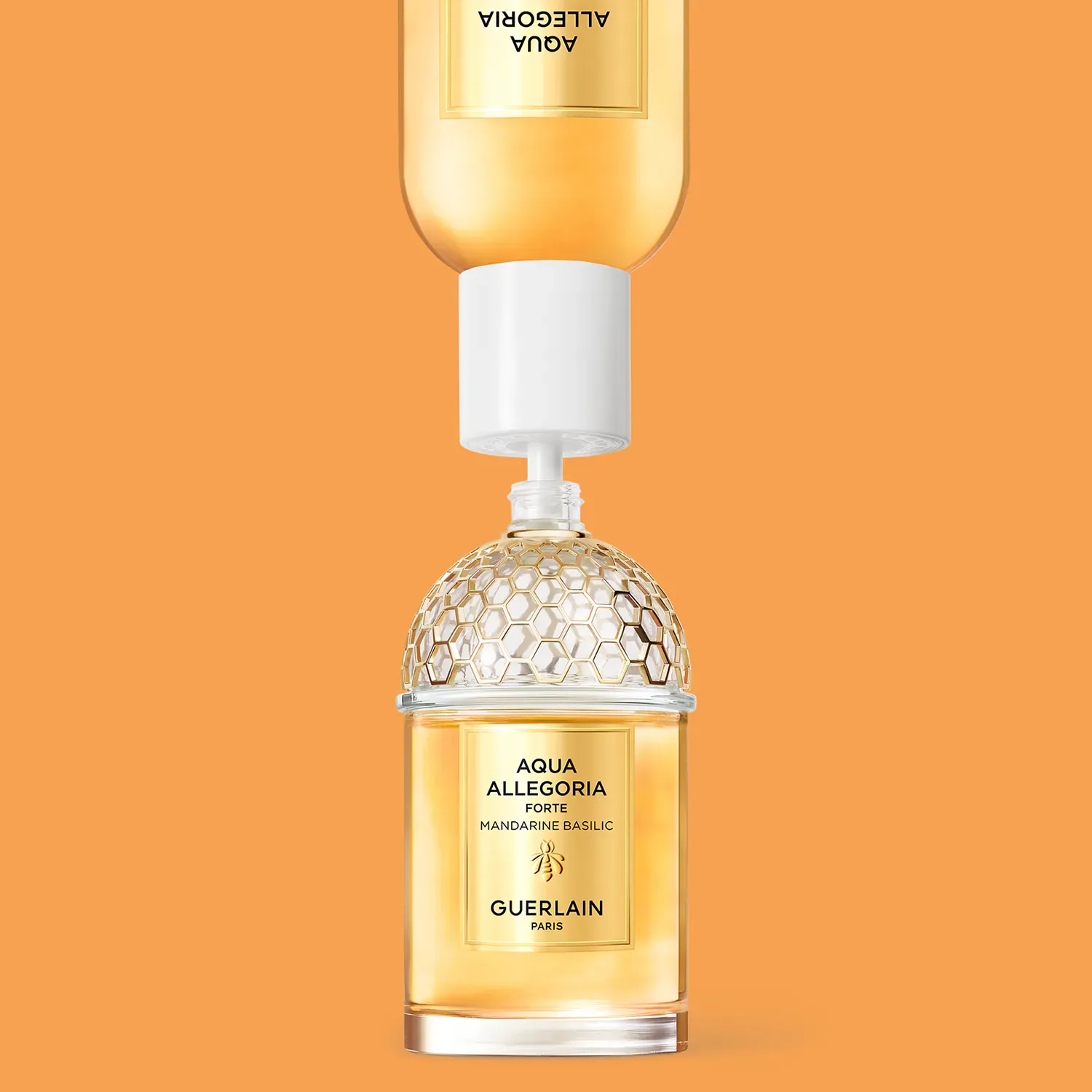 Aqua Allegoria Forte Mandarine Basilic - Eau De Parfum