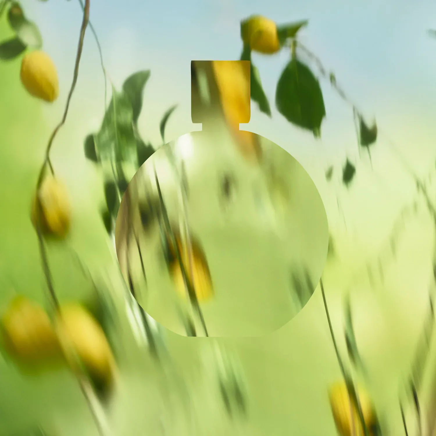 Chance Eau Fraîche - Eau De Parfum Spray