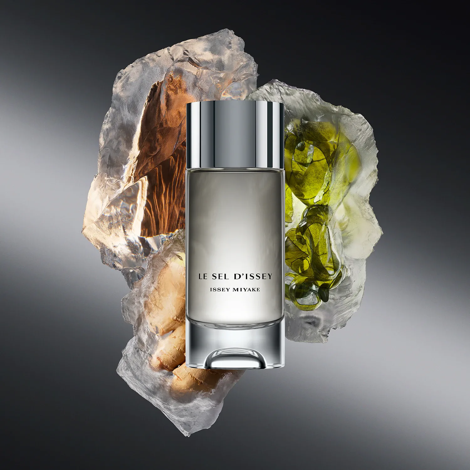 Le Sel D'issey - Edt
