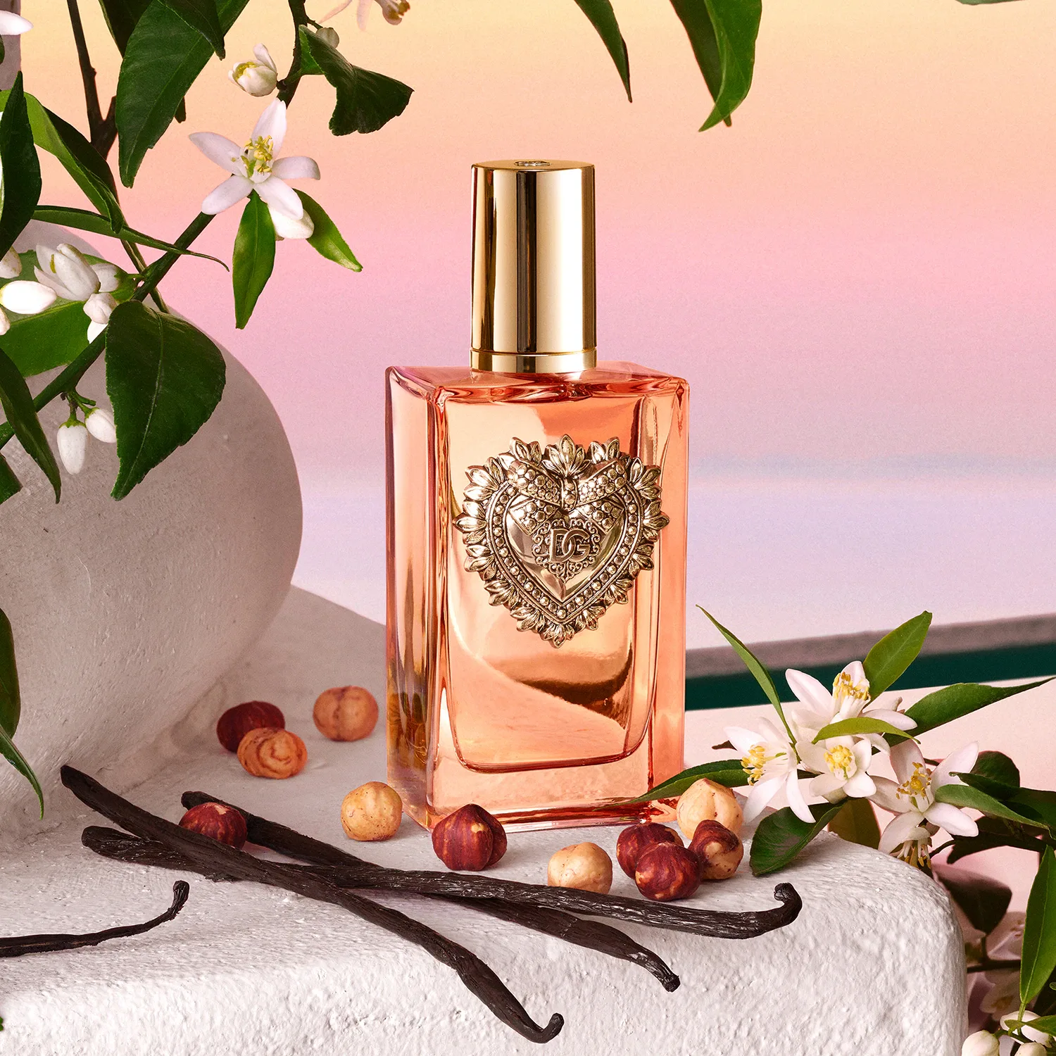 Devotion - Eau De Parfum Intense