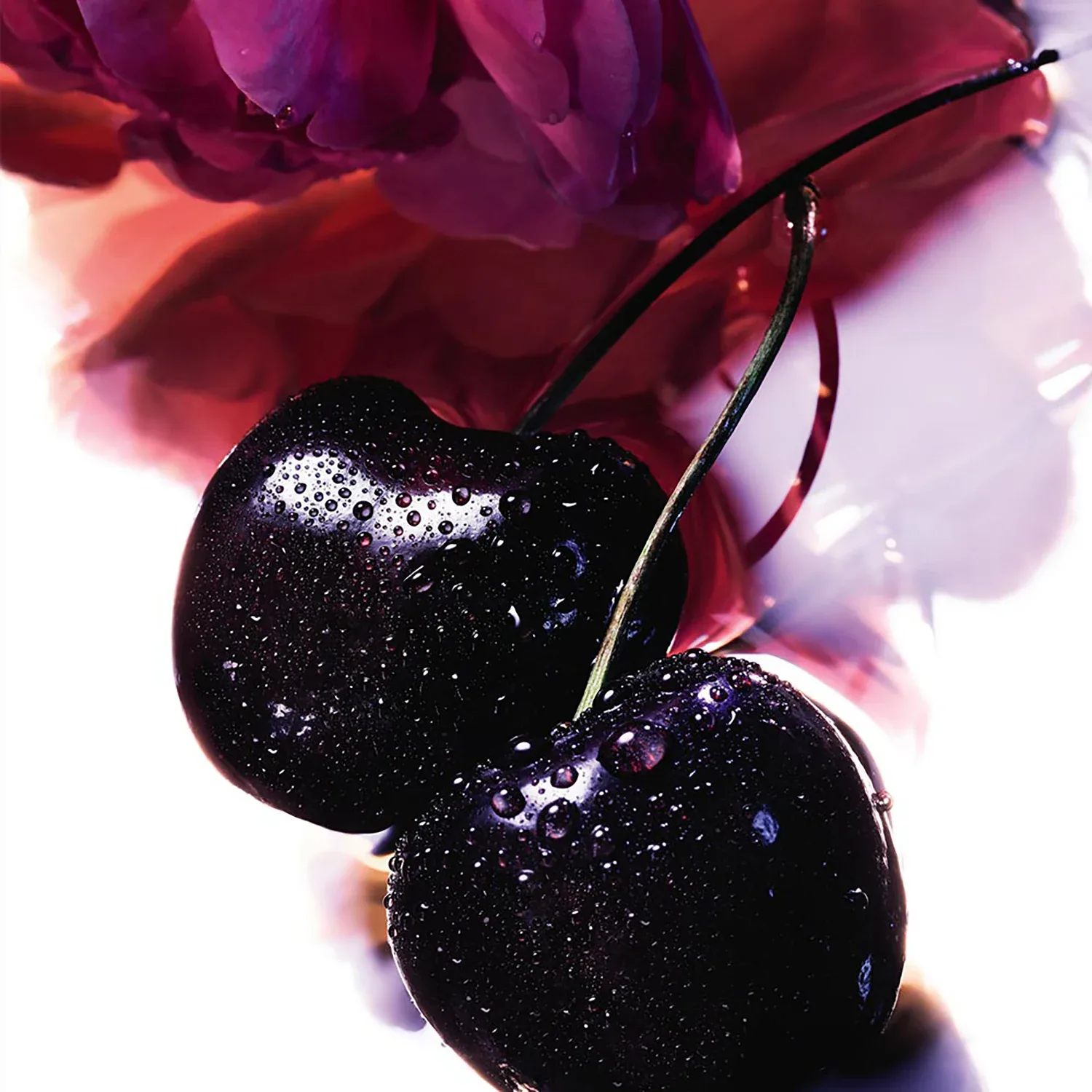 La Petite Robe Noire - Eau De Parfum