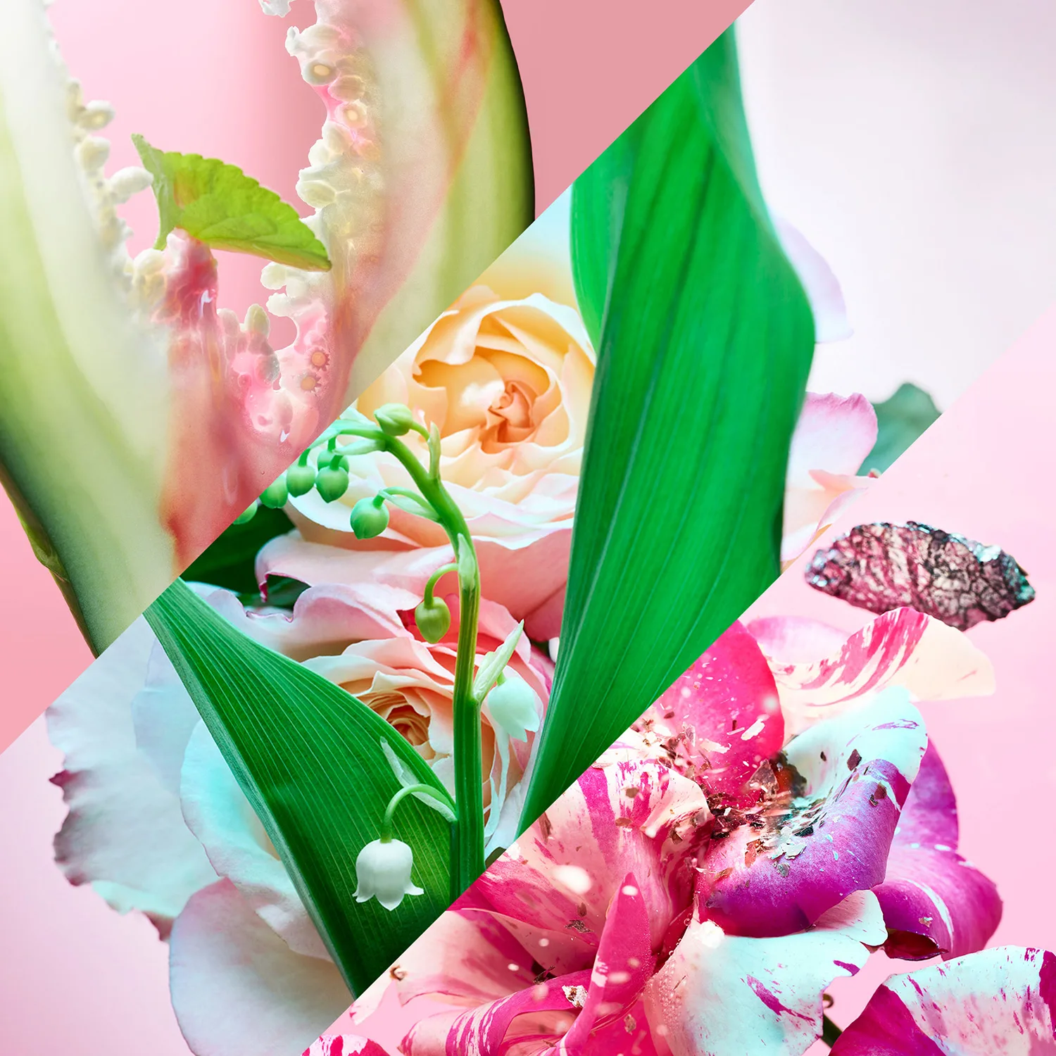 Rose Goldea Blossom Delight - Eau De Parfum