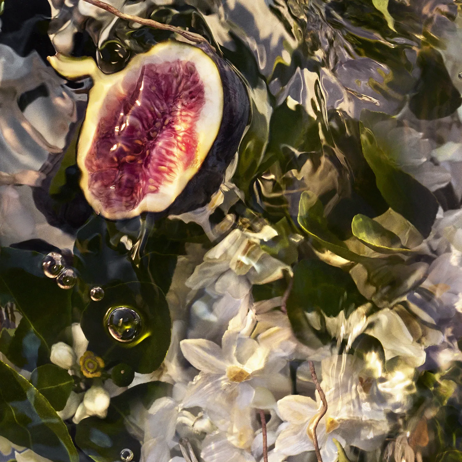 Aqua Allegoria Forte Nerolia Vetiver - Eau De Parfum