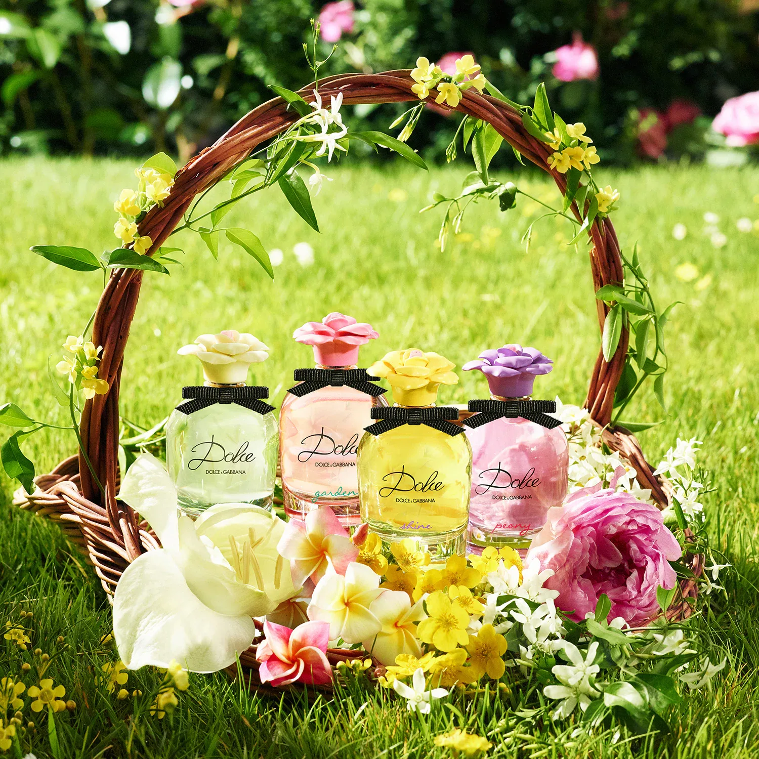 Dolce - Eau De Parfum