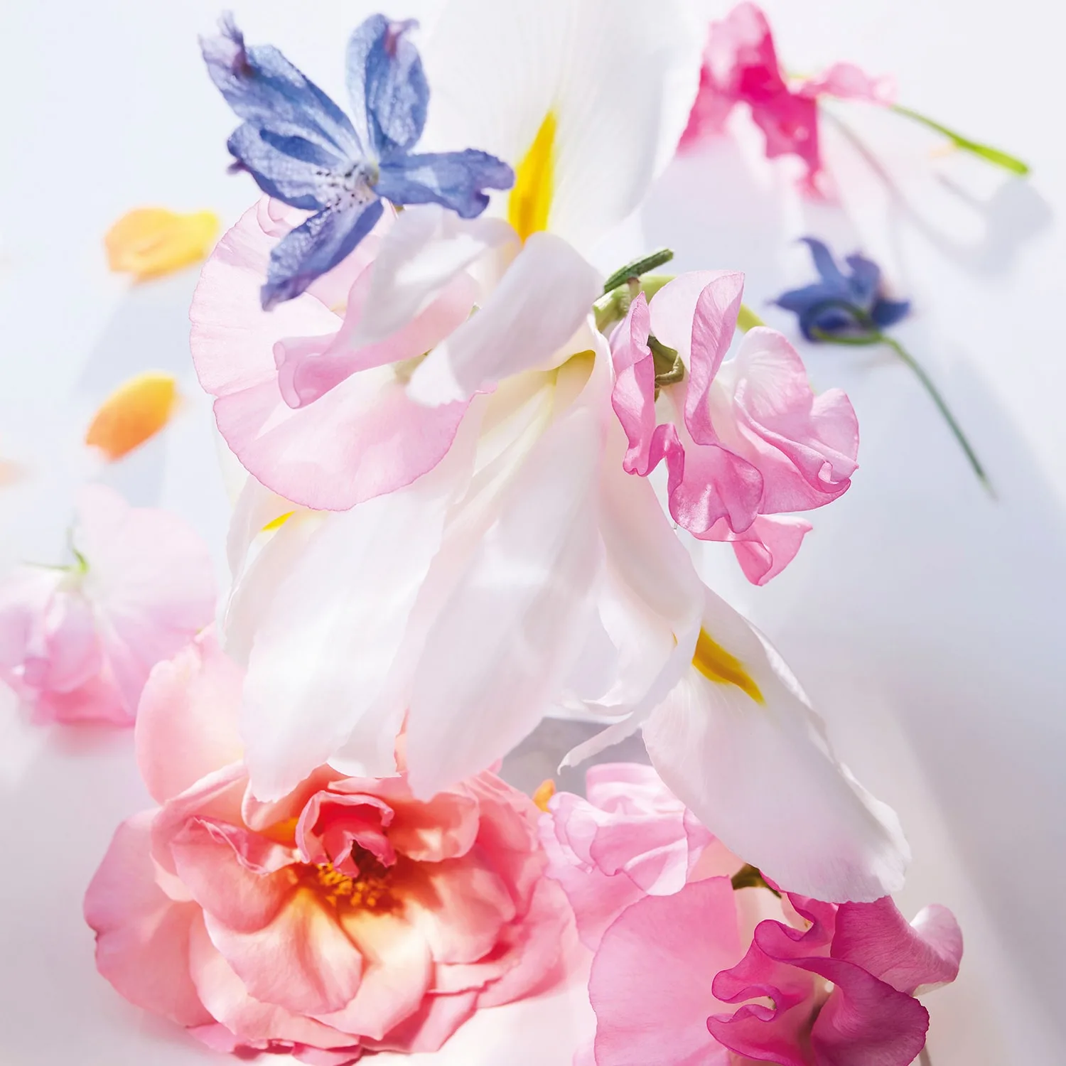 Miss Dior - Eau De Parfum Roller Pearl - Nomadic Roll On Format