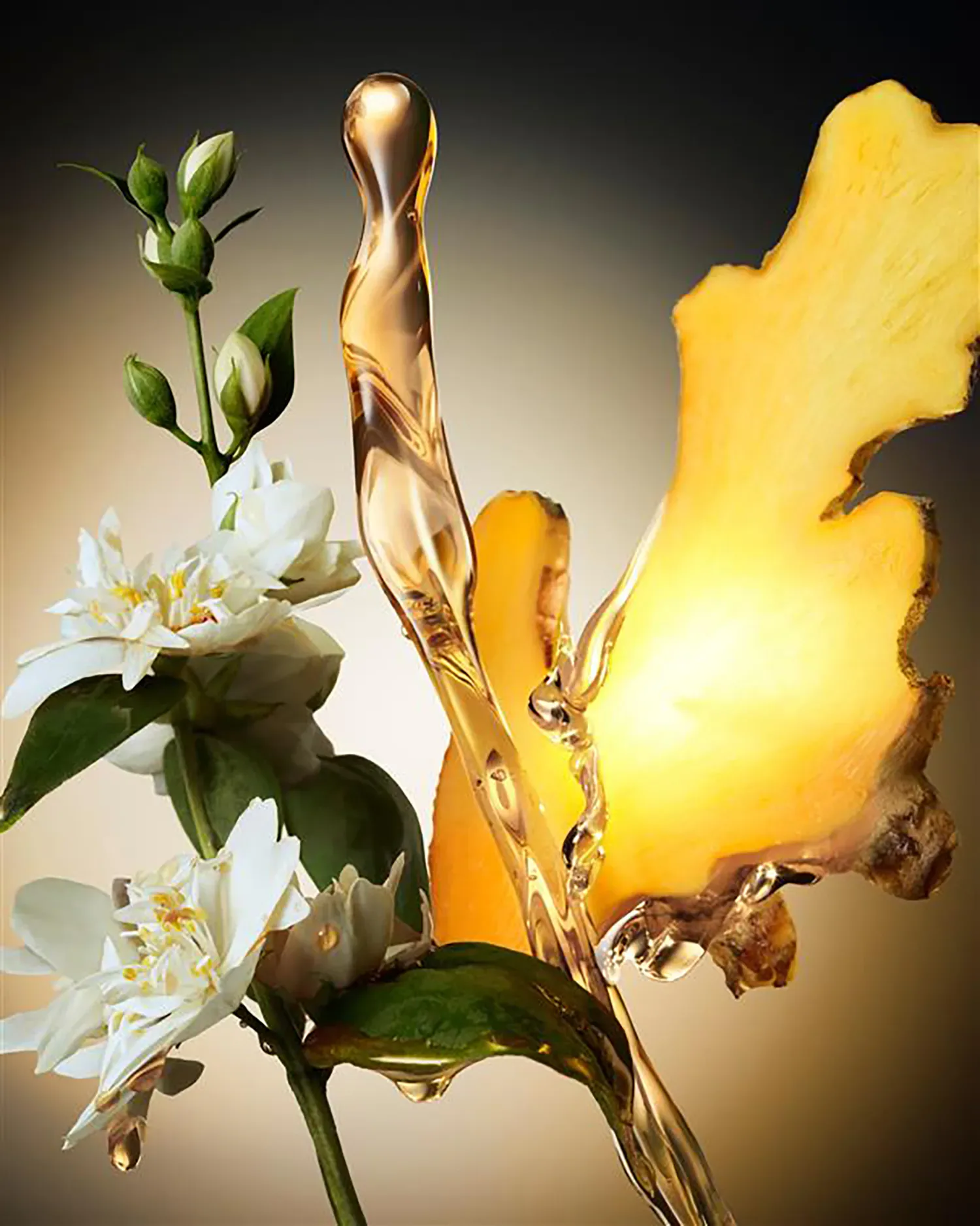 The Scent For Her - Eau De Parfum