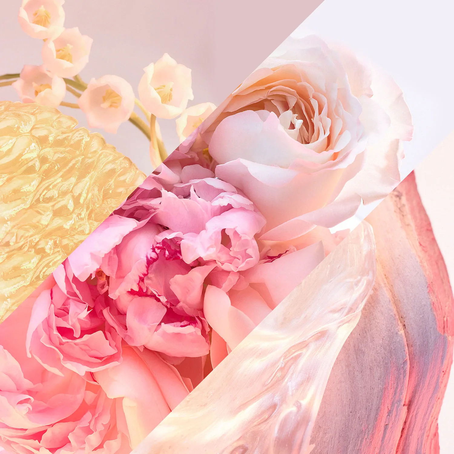 Rose Goldea Blossom Delight - Eau De Toilette