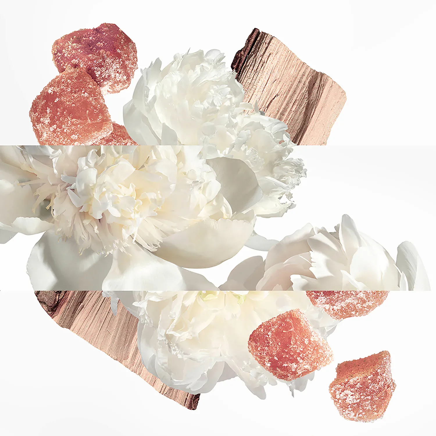 Twilly Eau Ginger - Eau De Parfum
