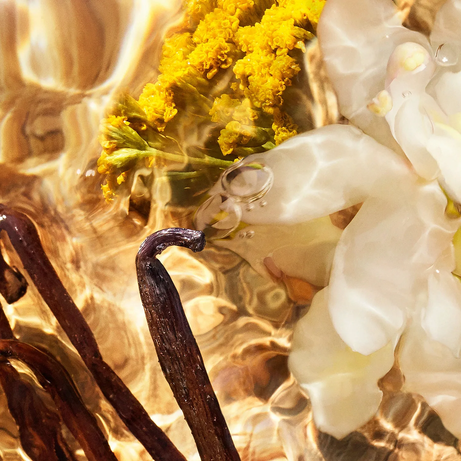 Aqua Allegoria Bosca Vanilla Forte - Eau De Parfum