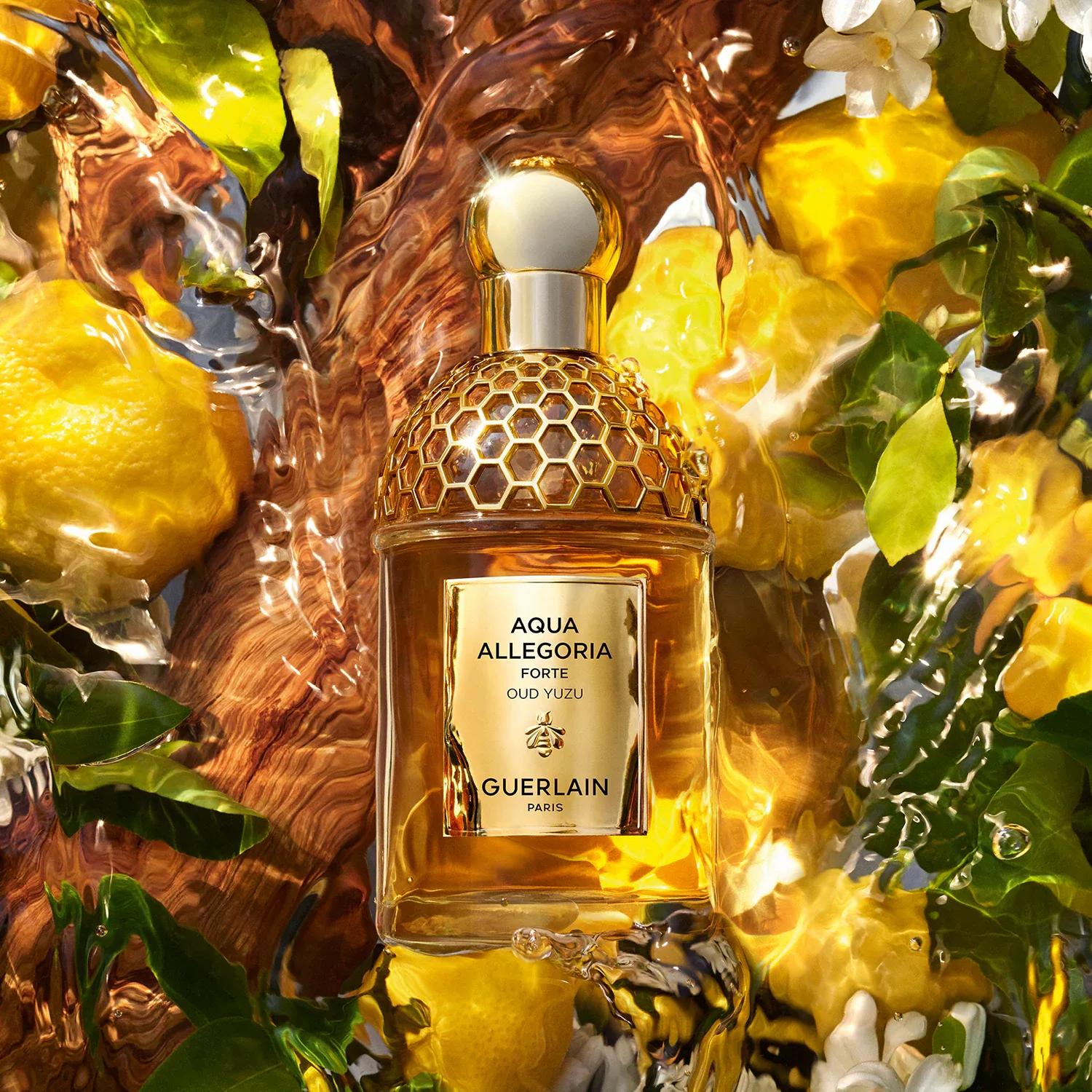 Aqua Allegoria Oud Yuzu Forte - Eau De Parfum